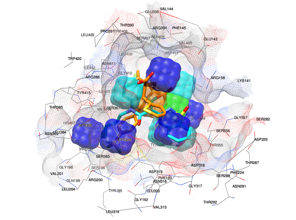 3D molecular visualization of a protein-ligand complex