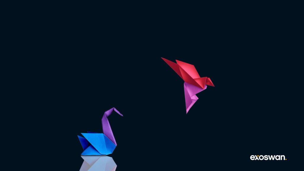 Exponential engines - swan taking flight