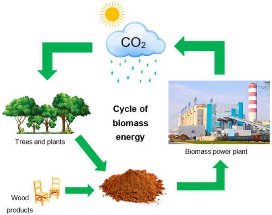 How biomass energy works.